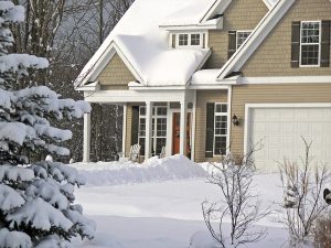 yard tree snow